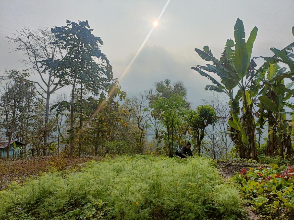 دارجيلنغ Live In Nature المظهر الخارجي الصورة
